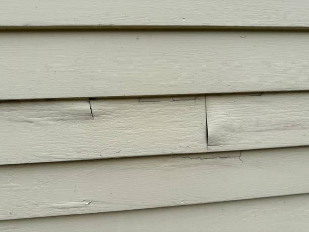 Best Hoarding Cleanup  in Deer Park, NY